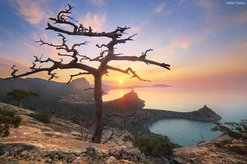 Новый Свет встречает рассвет