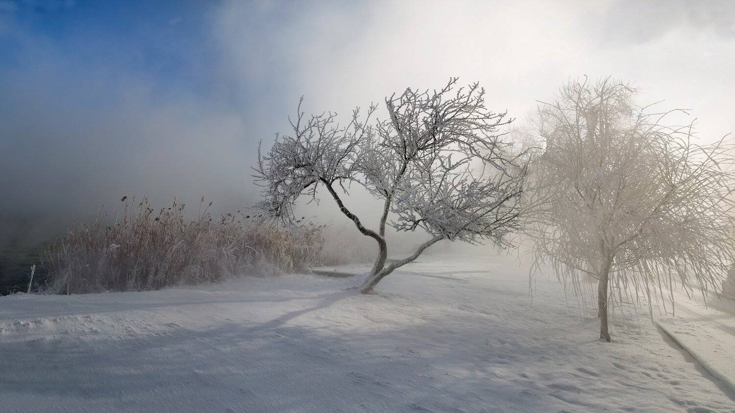 , Алексей Рыльский
