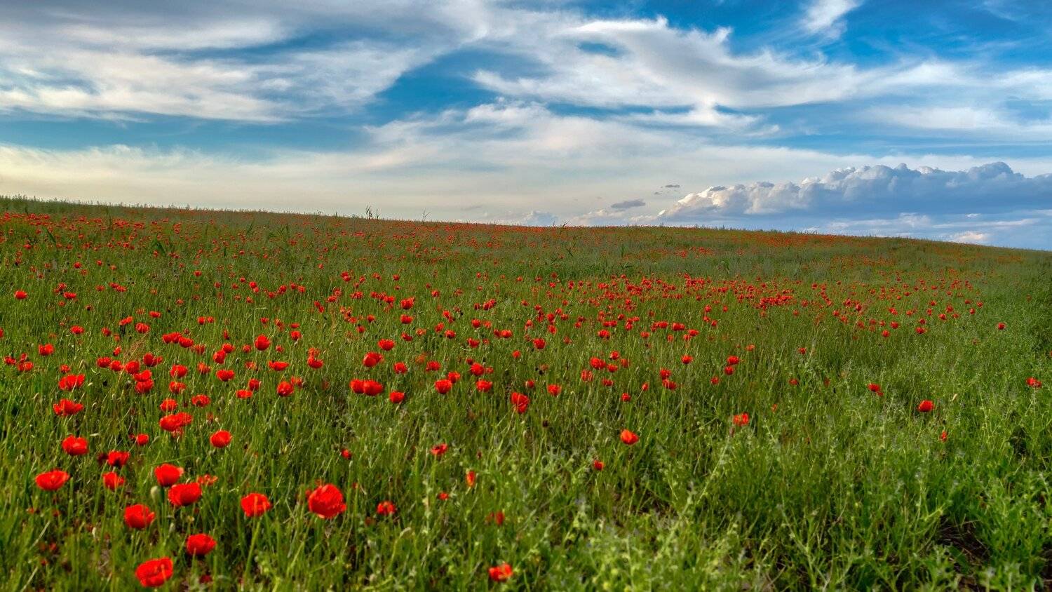 кыргызстан, горы, Элина Магалимова
