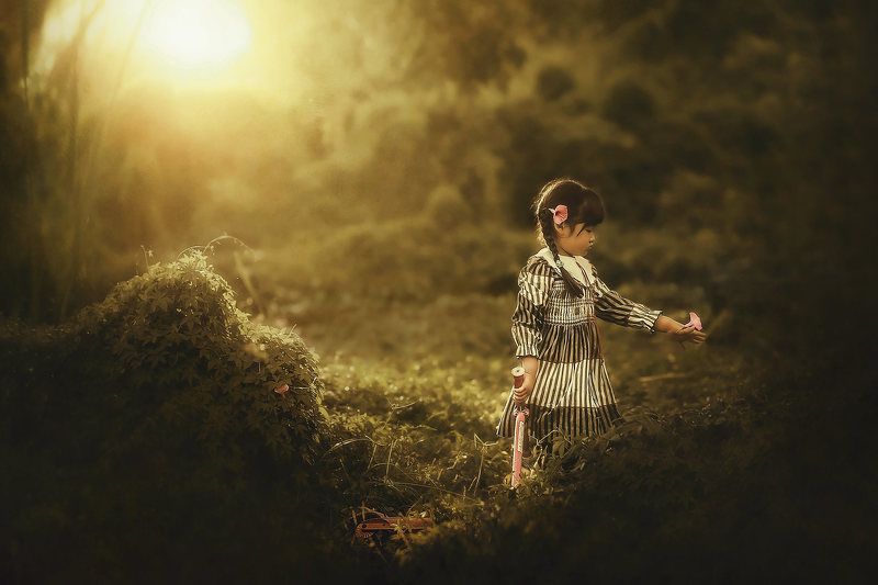 Rite of Fall фото превью