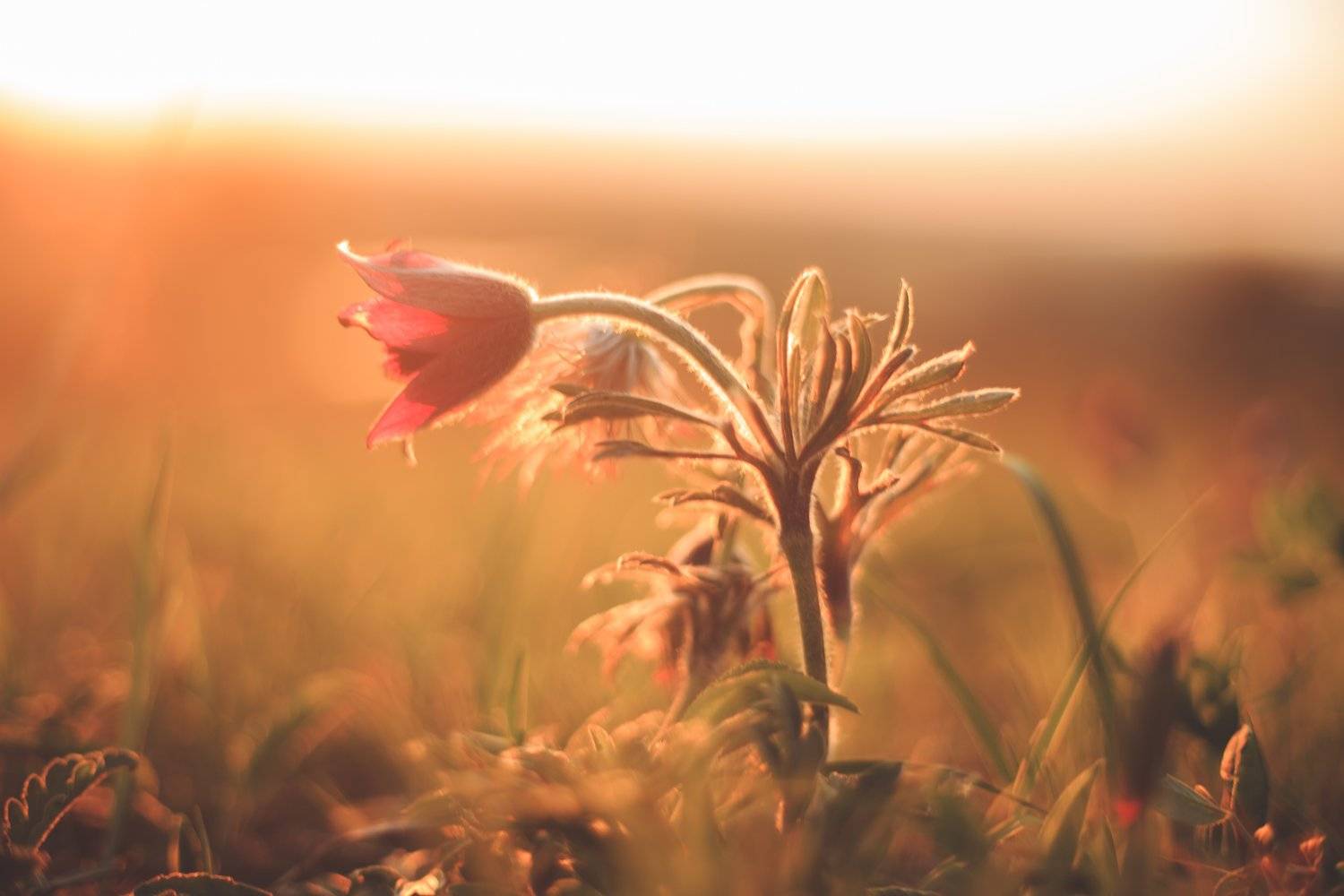 , Сигида Дмитрий