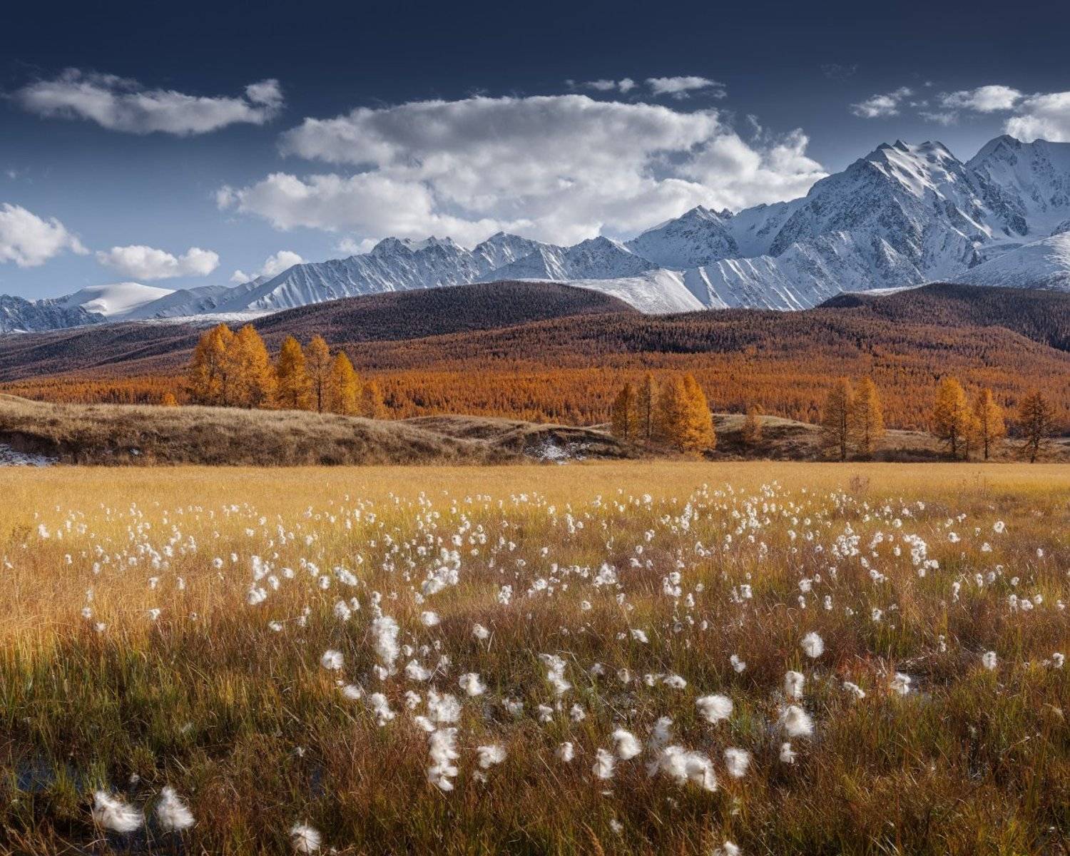 алтай, ештыкель, осень, Дмитрий Медянцев