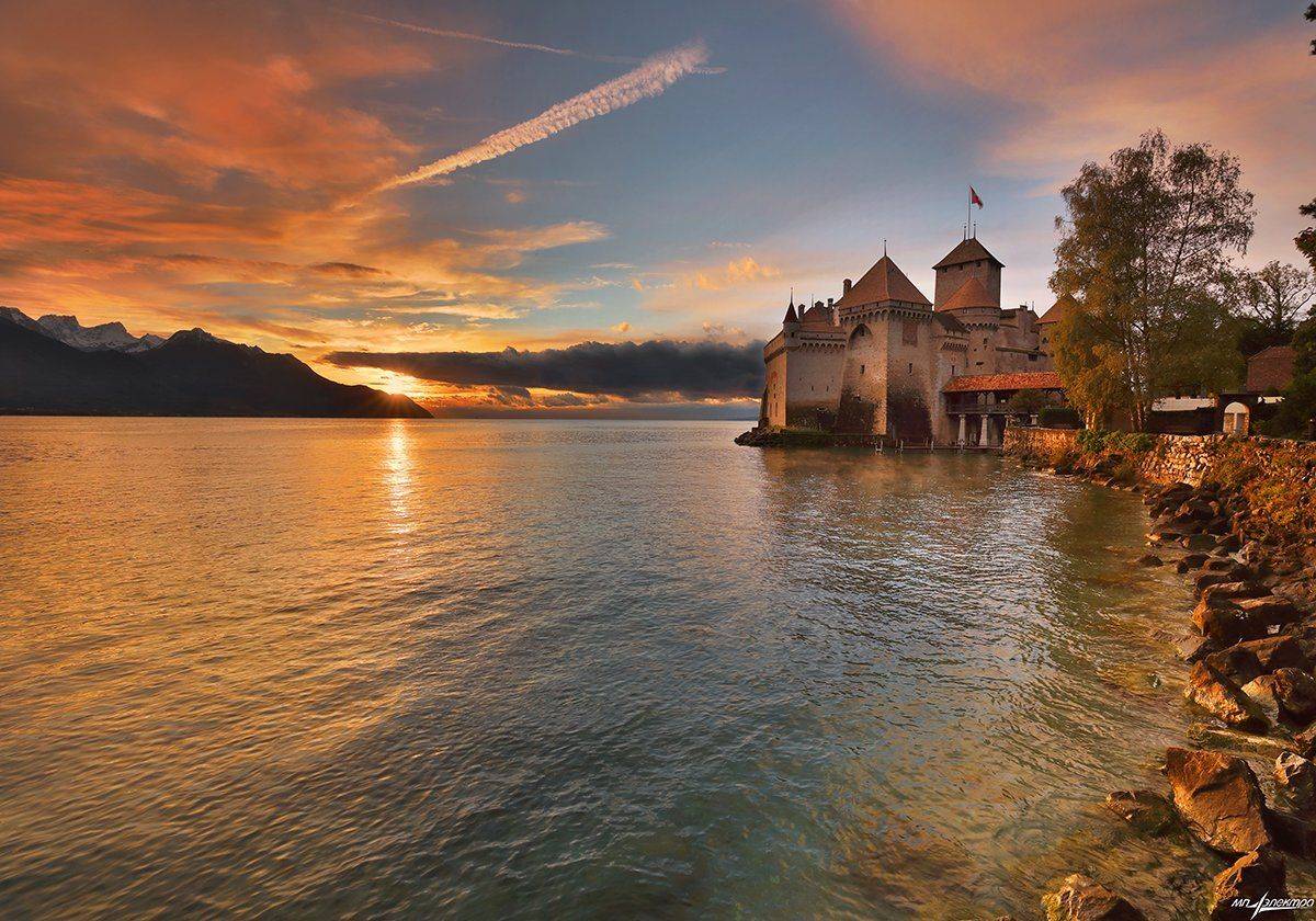 swiss, Матвеев Николай