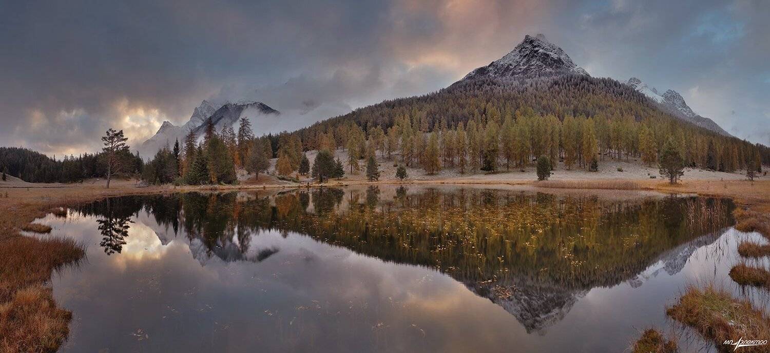 swiss, Матвеев Николай