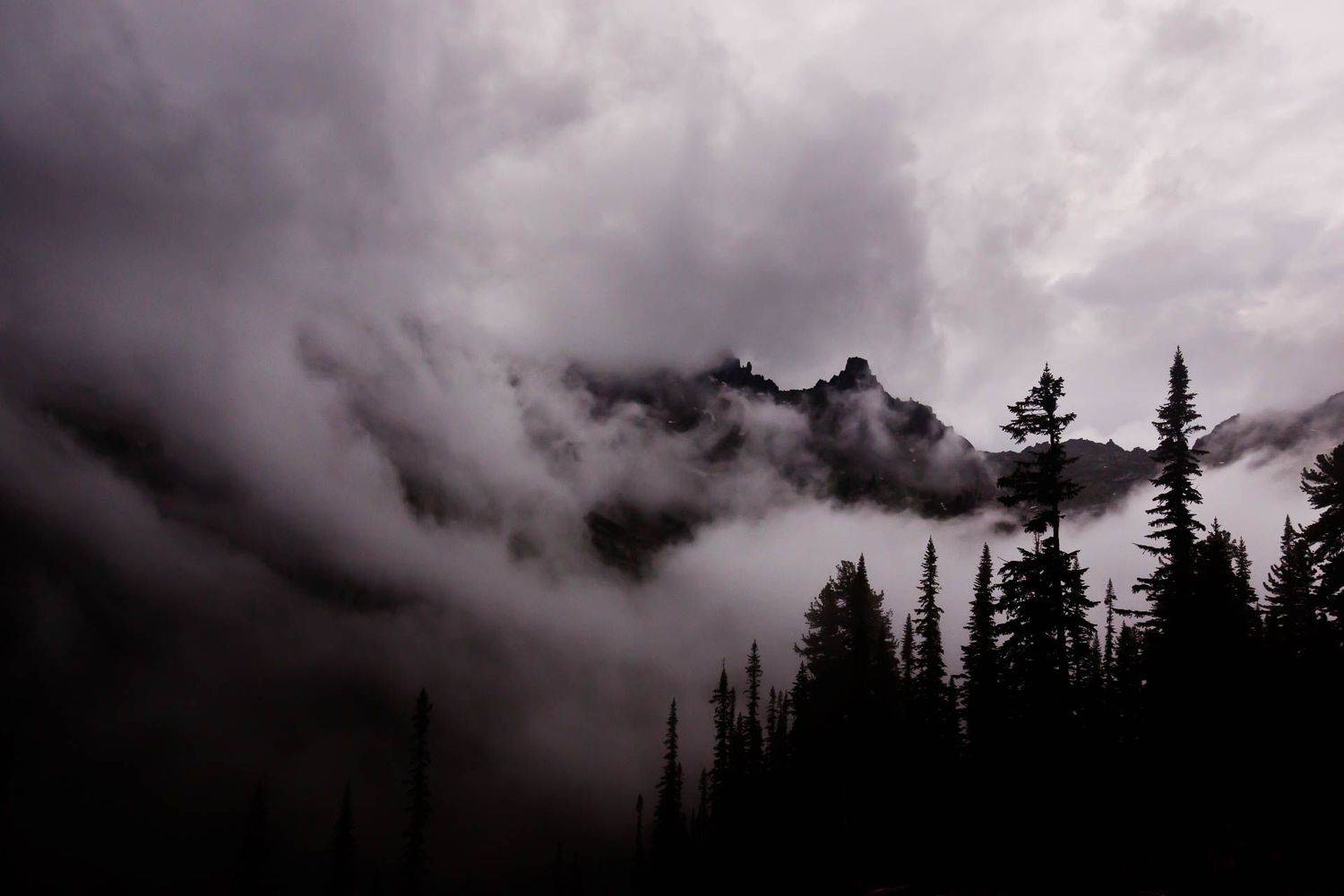 , Сергей Ларин