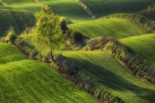 morning shadow...