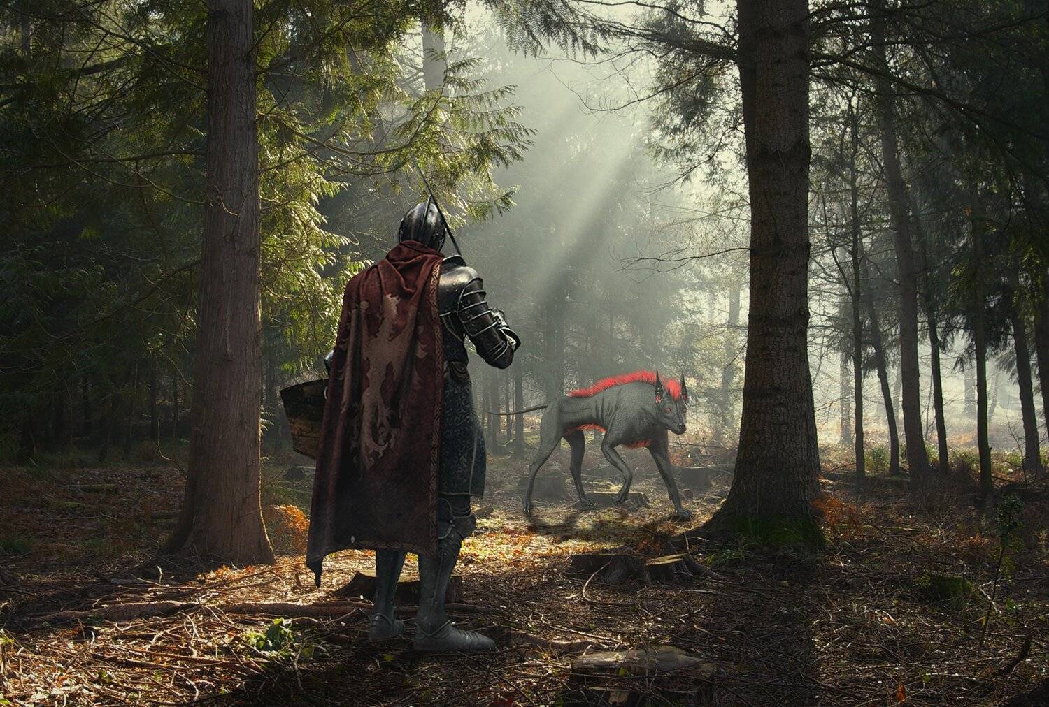 рыцарь, волк, лес, Sergii Vidov