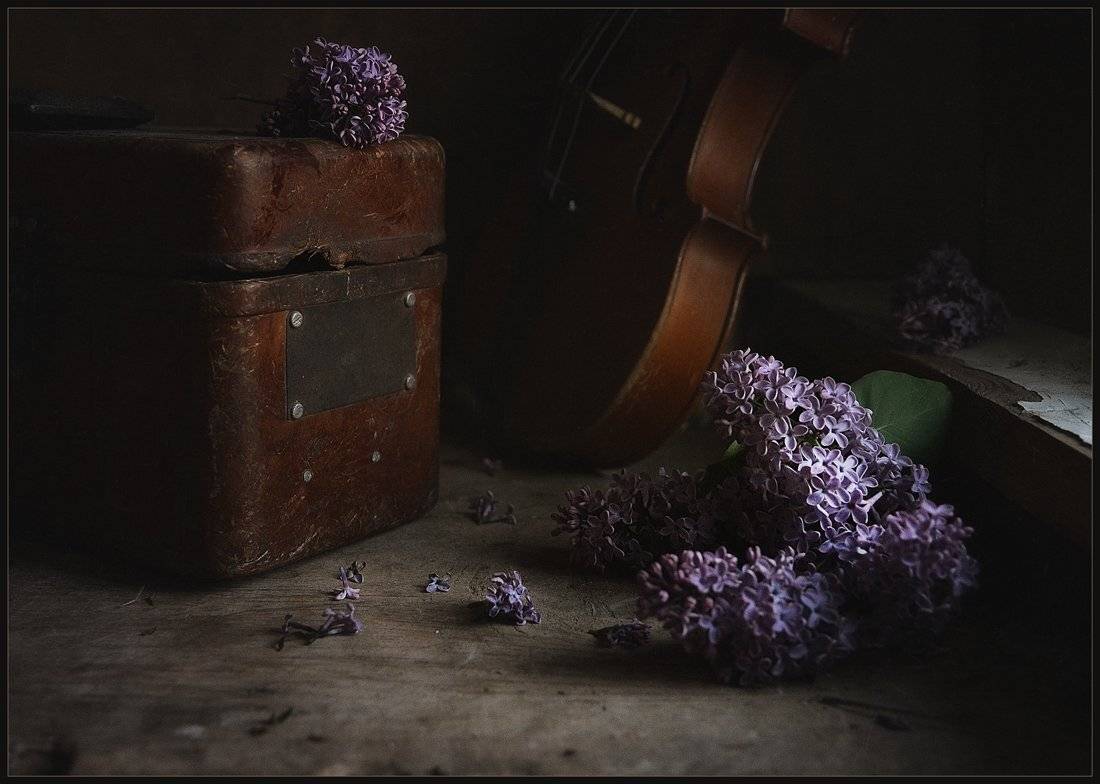 , Александр Хромеев