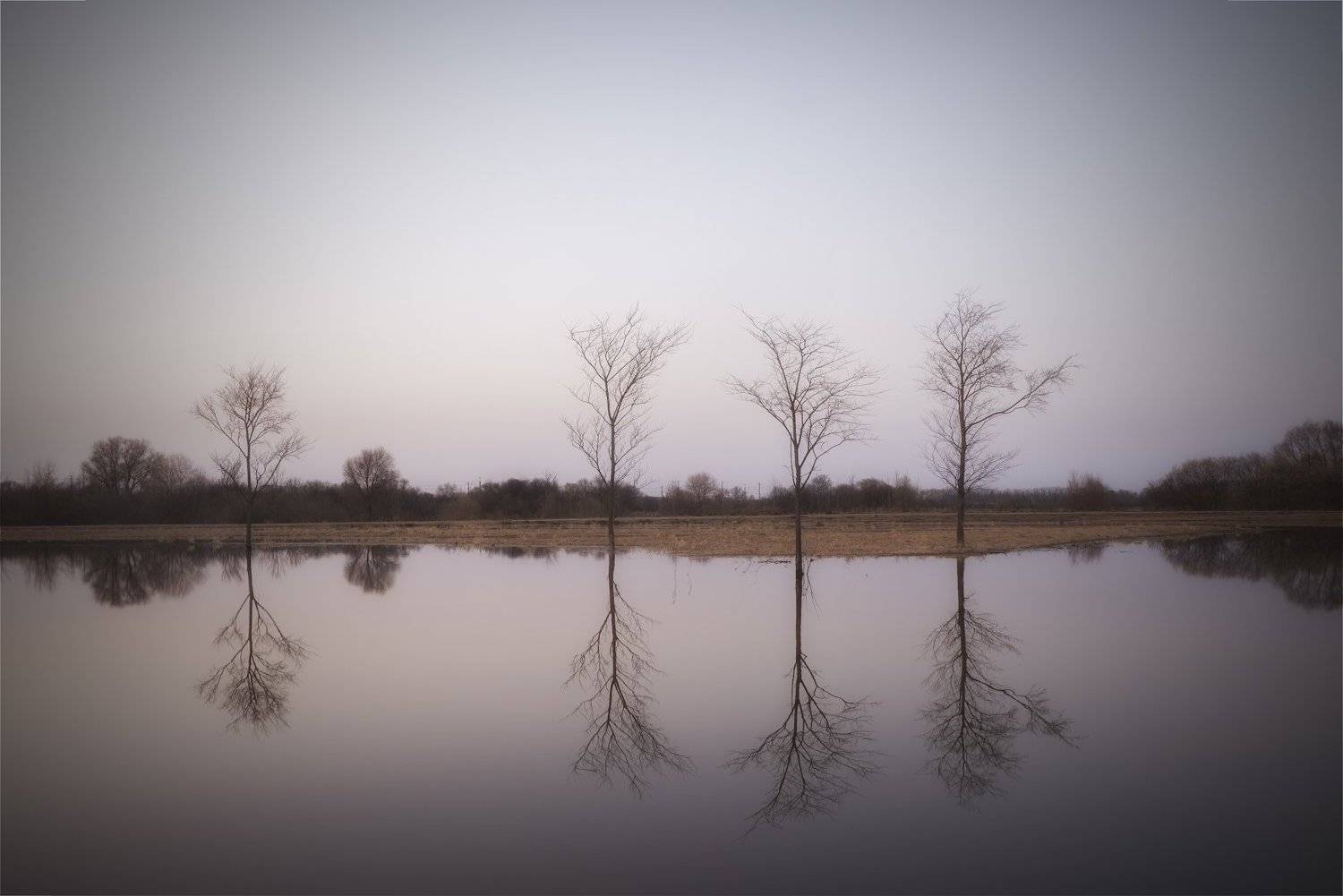 , Руслан Соколов