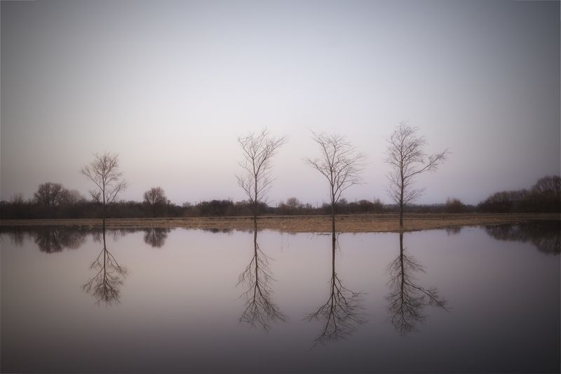 Про тишину. фото превью