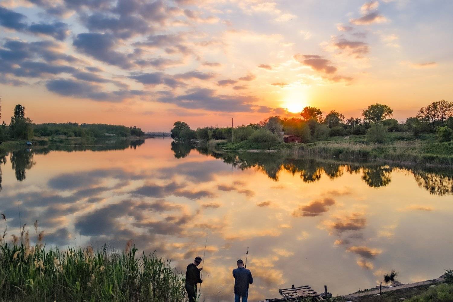 , Алексей Кремнёв