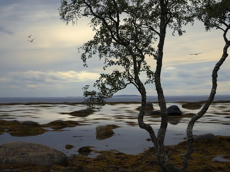 Соловки. Белое море фото превью