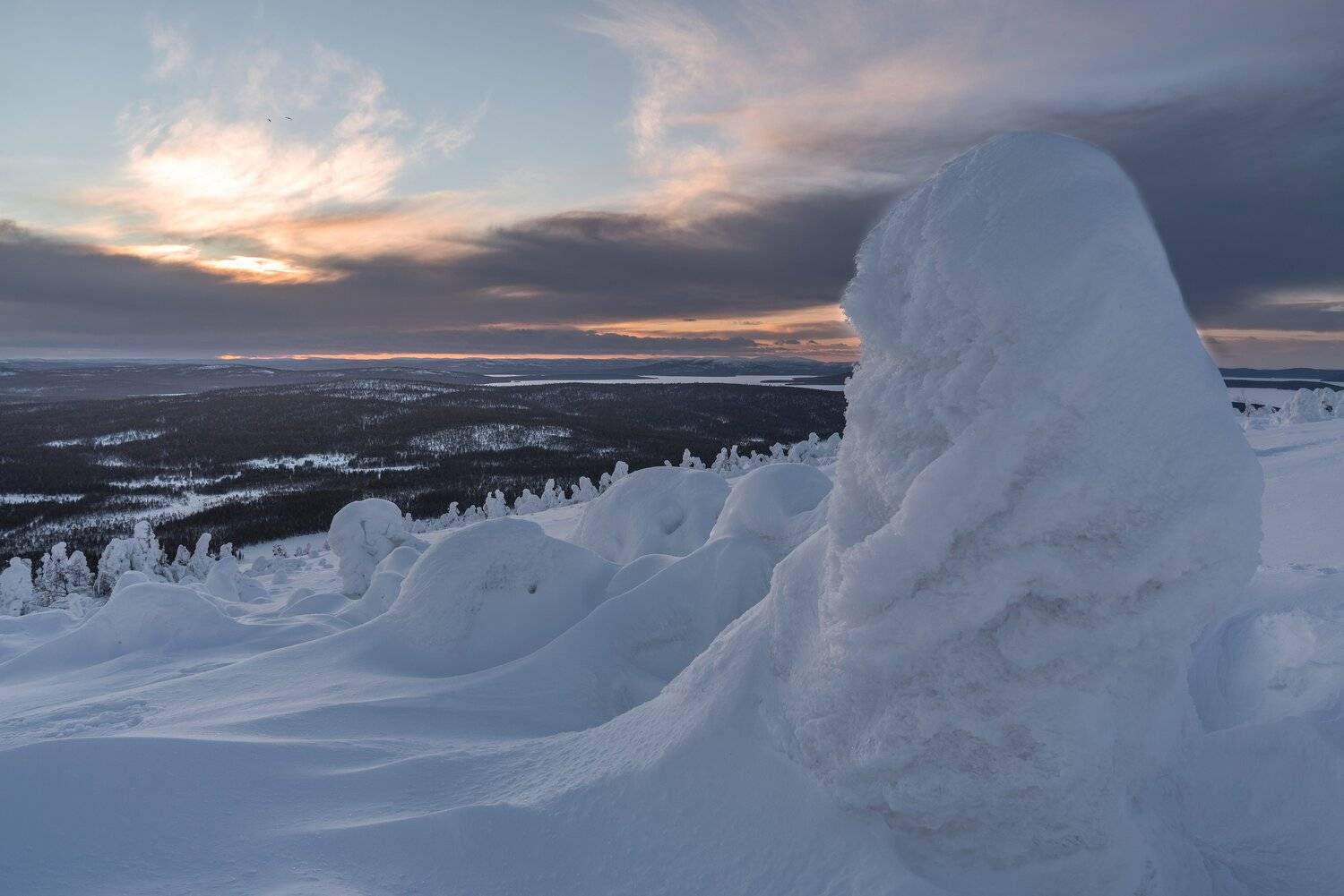 , Константин Дэм