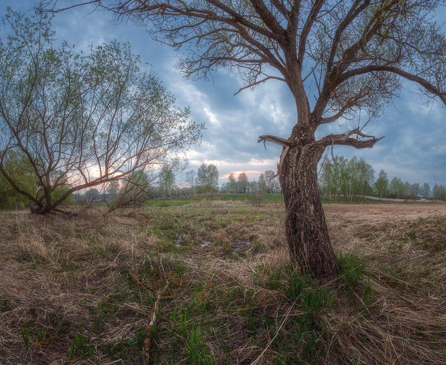 , Николай Андреев