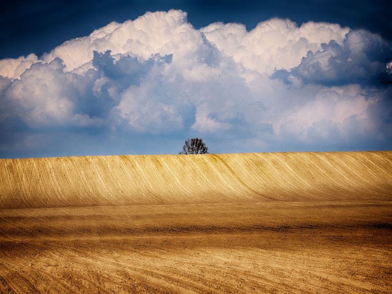 Spring field 6 фото превью