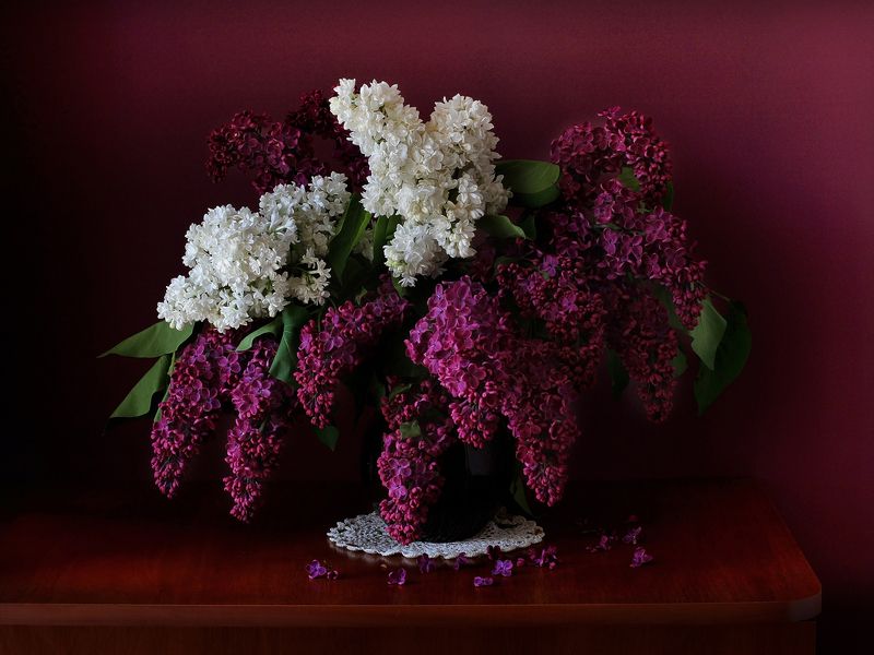 Сирень фото превью