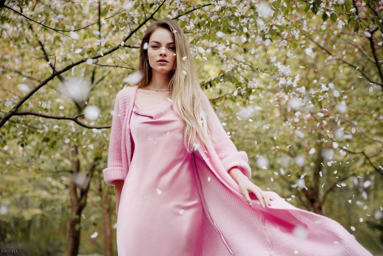 портрет, сакура, фото, Колбая Александр