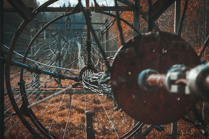 кабели, кабель, периметр, провод, провода периметр фото превью