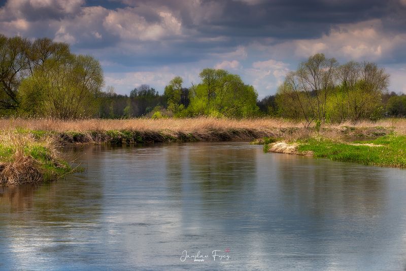 Nida фото превью