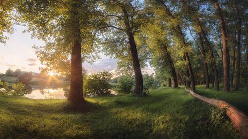 Где нет времени, и прекрасен дождь...