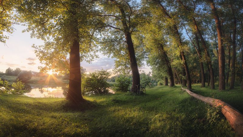 украина, коростышев, река тетерев, лето, июнь, тишина, гармония, безмолвие, детство, велосипед, жизнь, радость, Где нет времени, и прекрасен дождь... фото превью