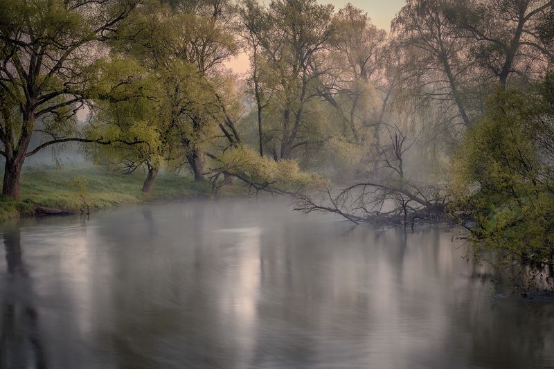 Хранители реки фото превью
