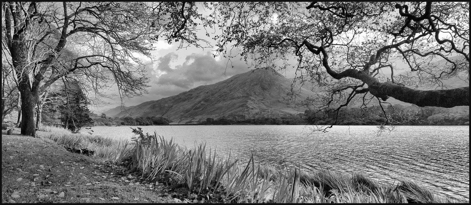 , Юрий Чернов