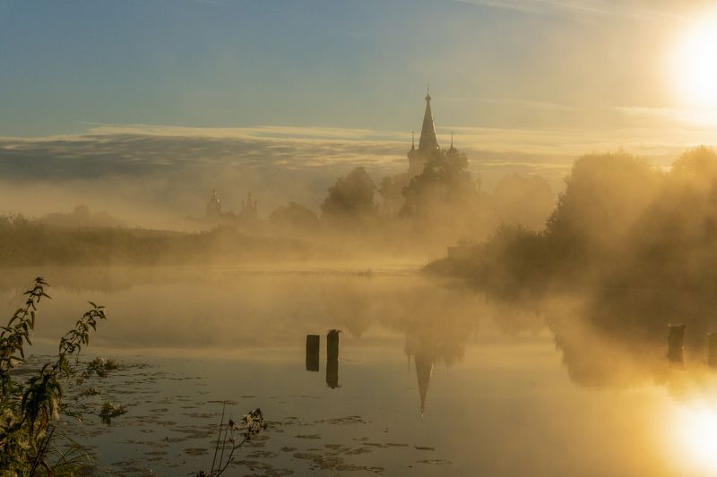 195 фото превью
