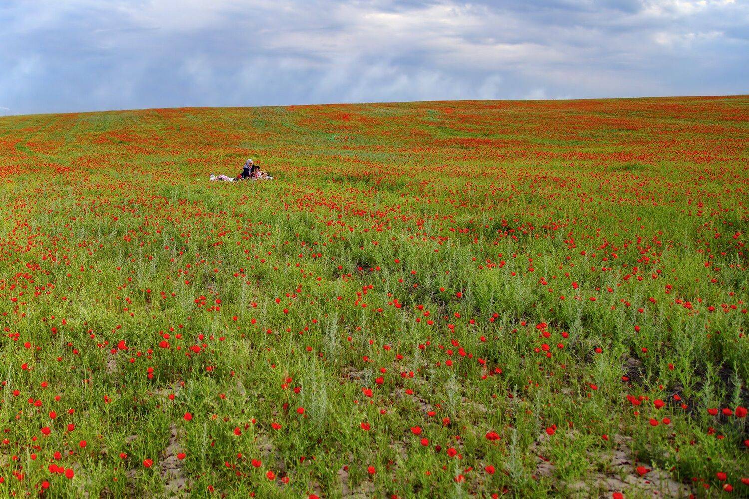 кыргызстан, горы, Элина Магалимова