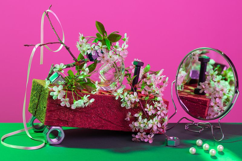 Расцвело фото превью