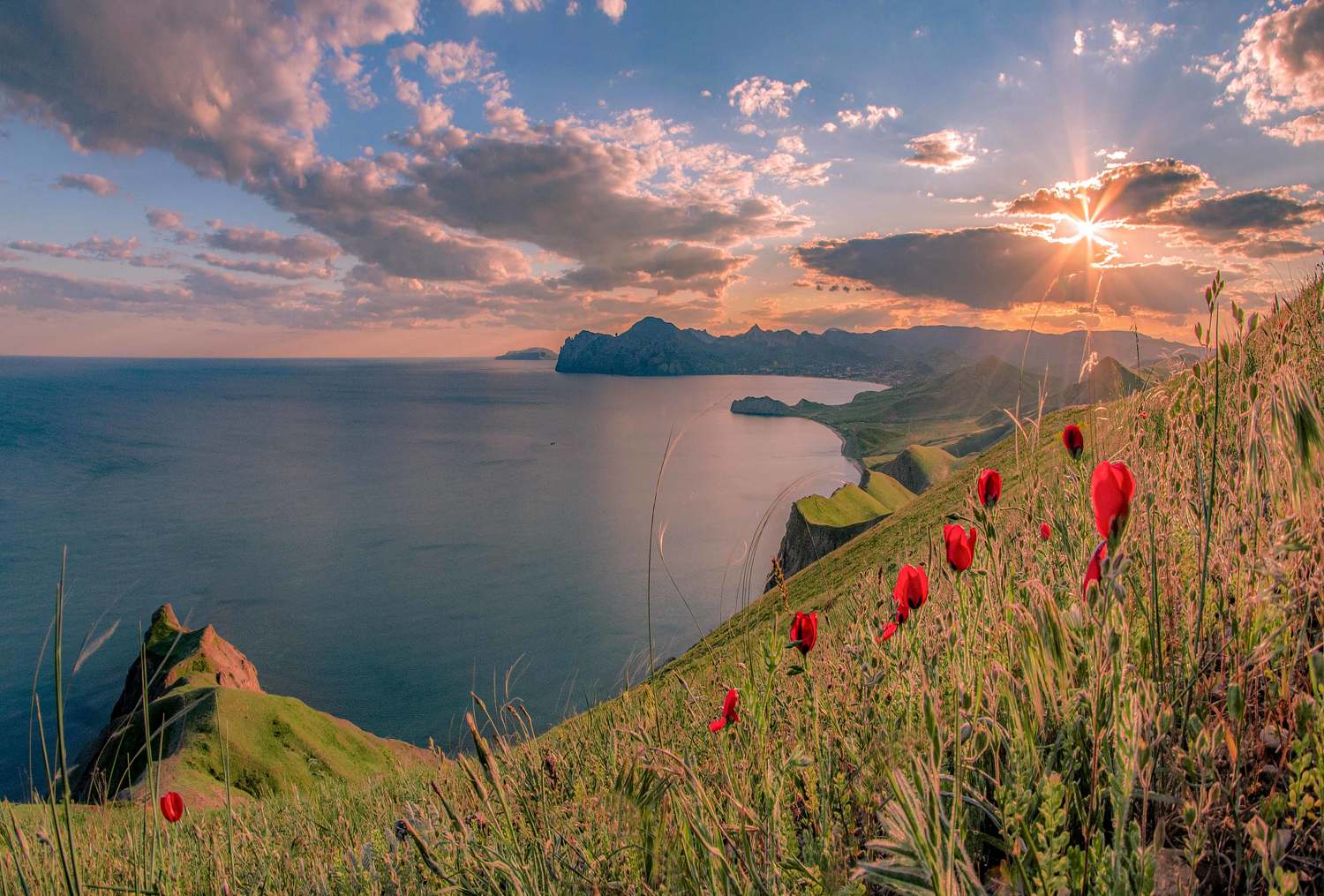 , Игорь Прошаков