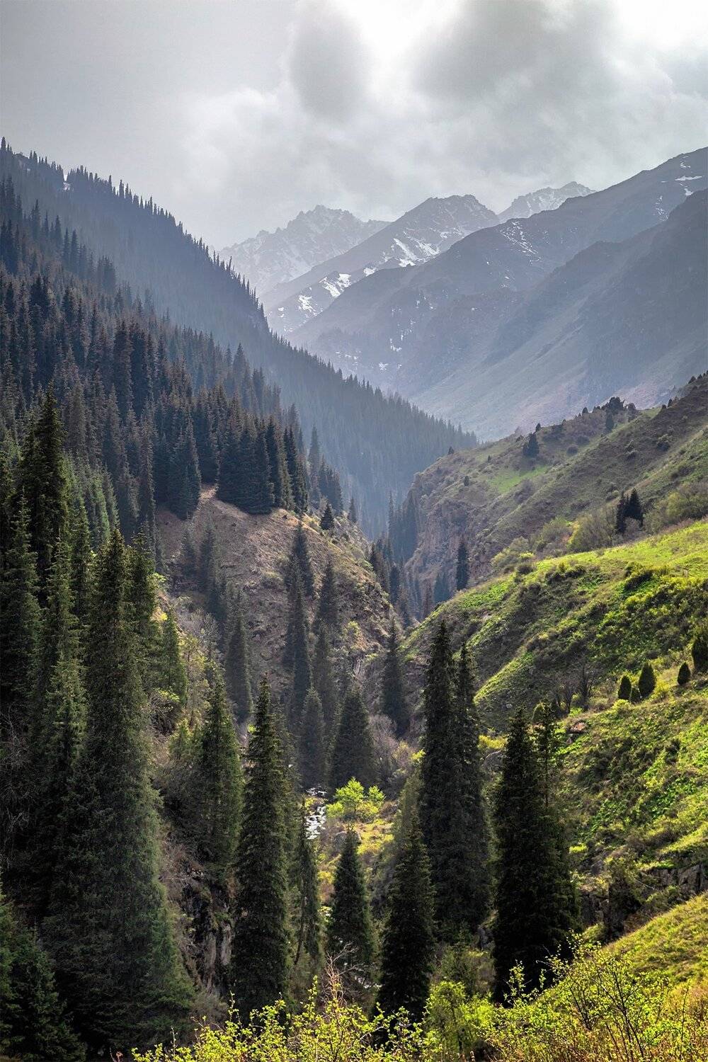 кыргызстан, горы, Элина Магалимова