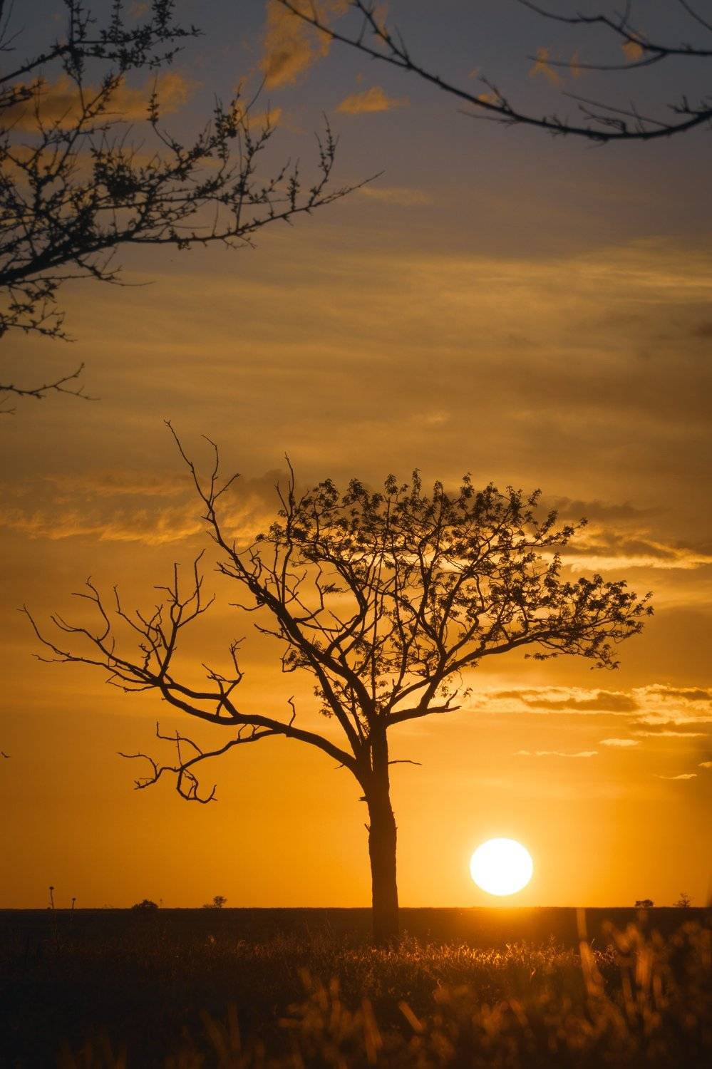 , Андрей Кривцов