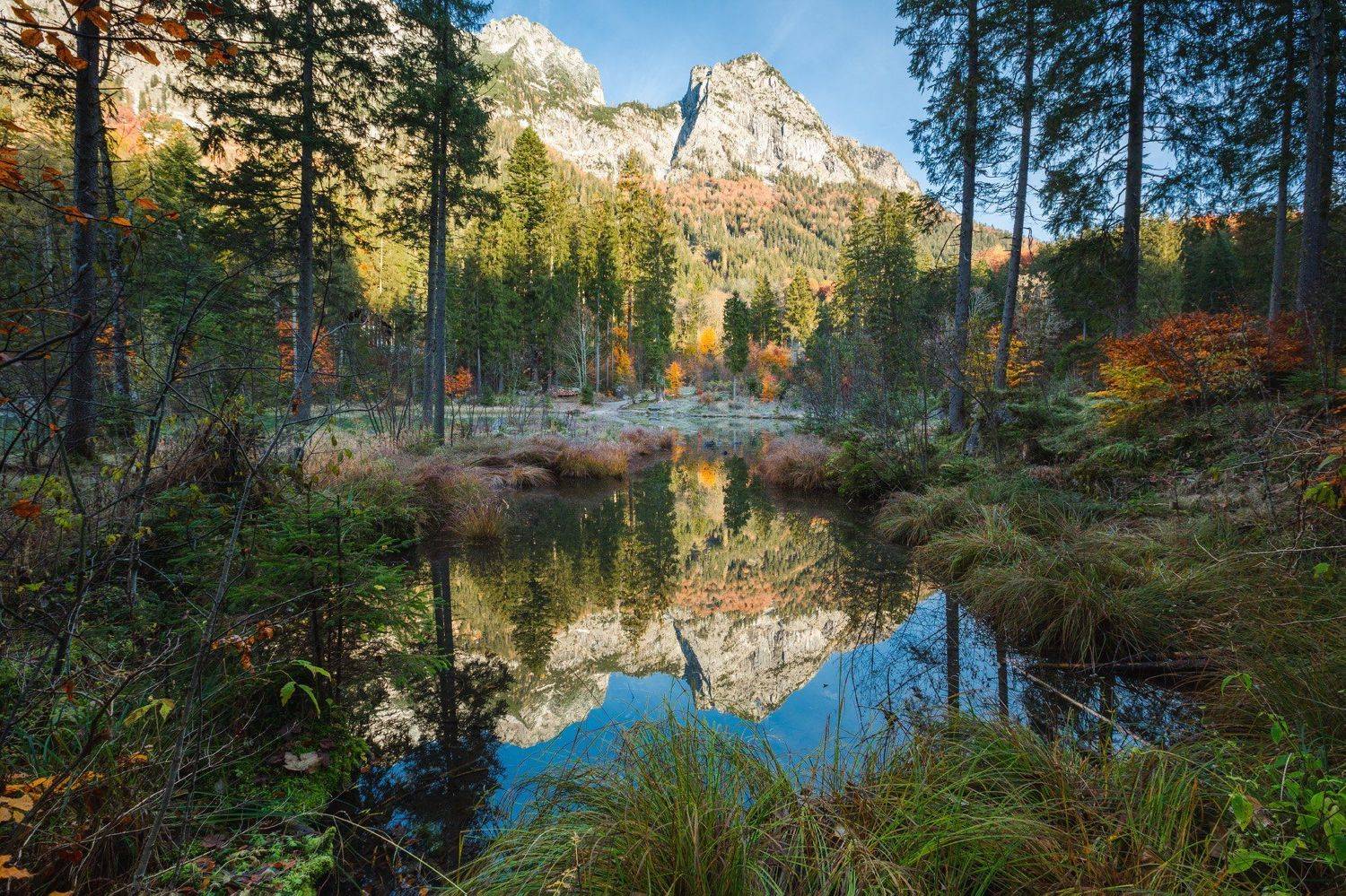 германия, бавария, озеро, отражение, горы, осень, лес, Геннадий Финенко