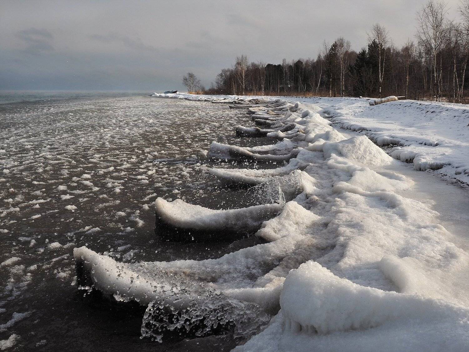 , Александр Попов
