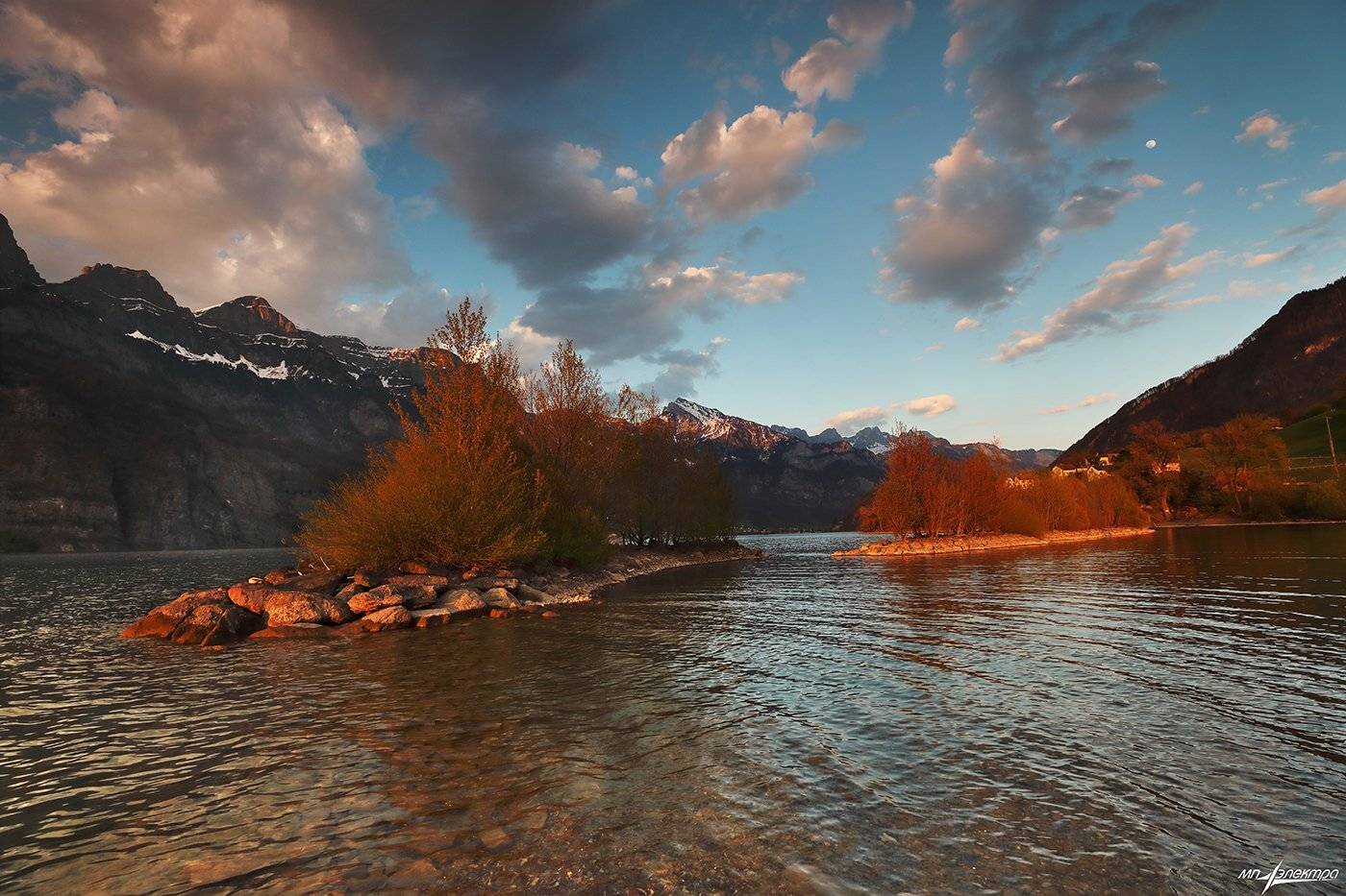 swiss, Матвеев Николай