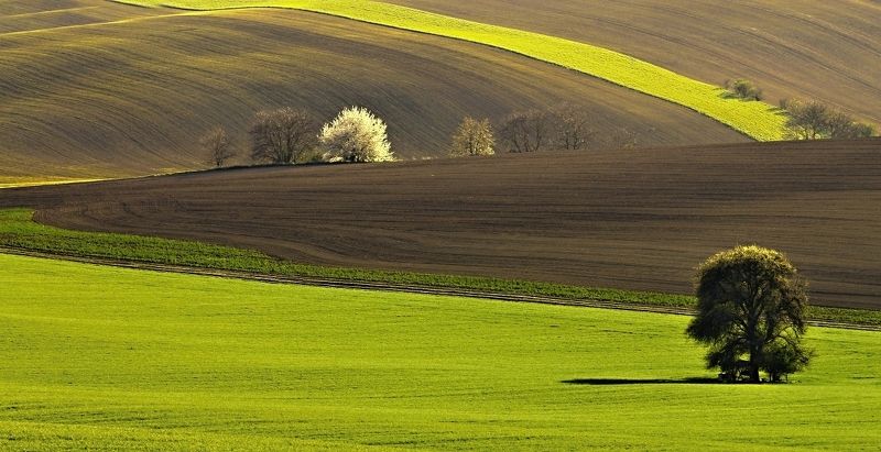 south moravia  фото превью