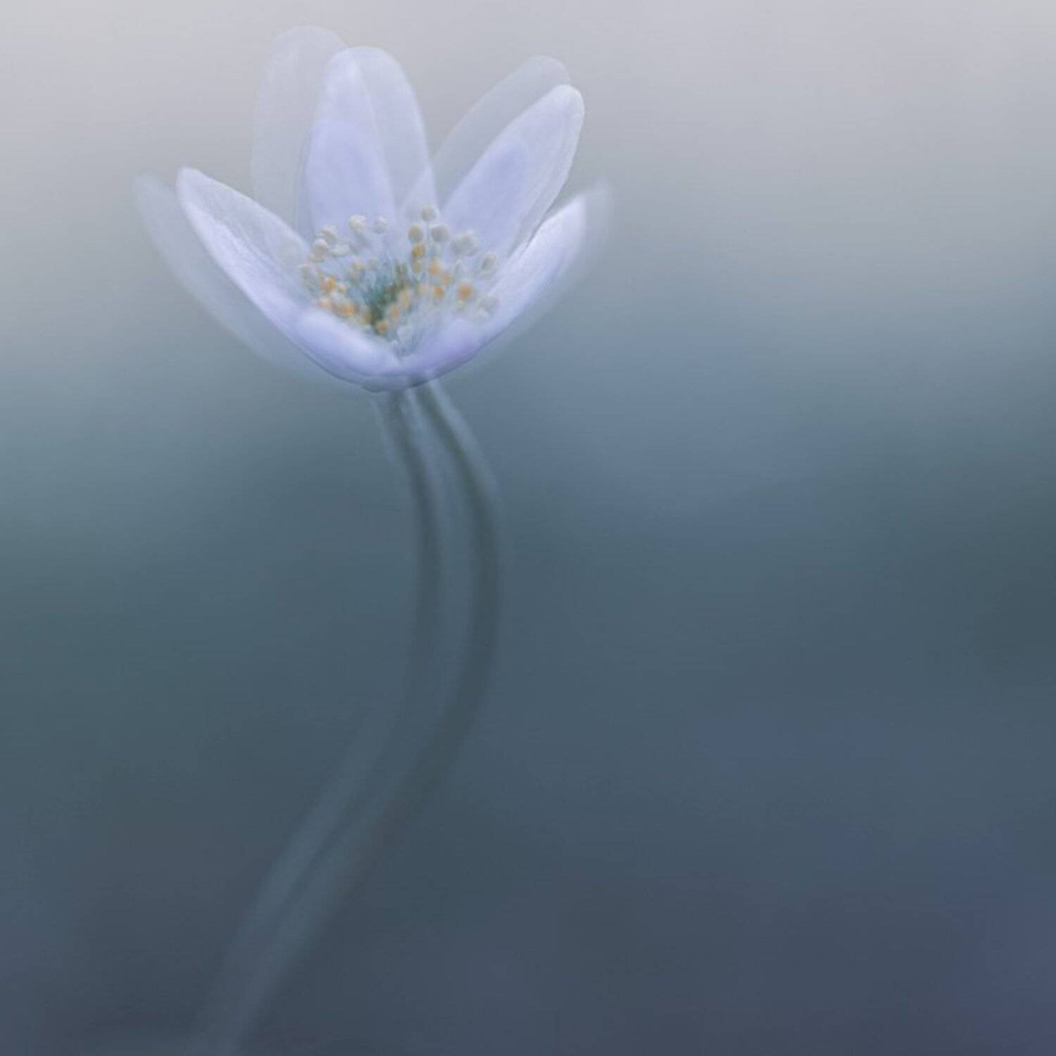 close-up, Игорь Копцев