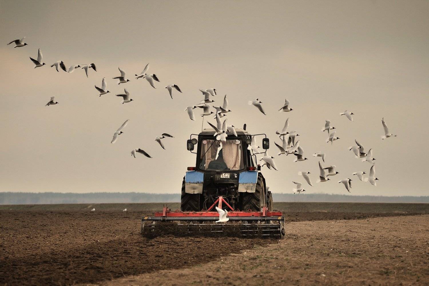 , Никитин Николай