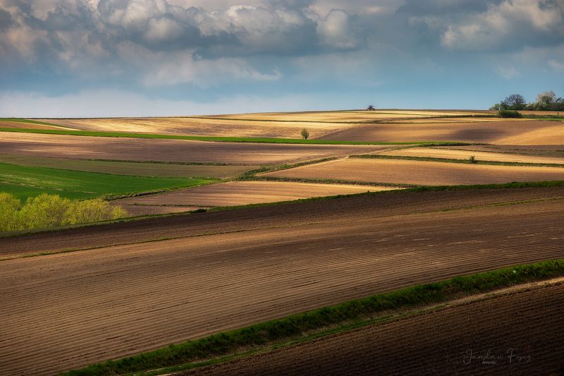 Patchwork . фото превью