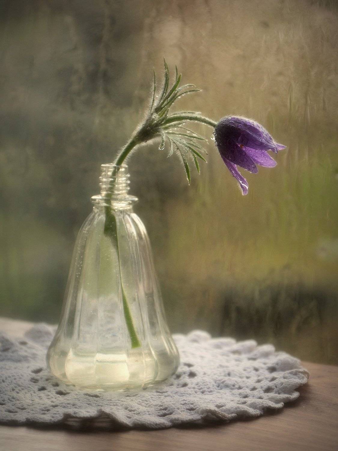 сергей алексеев, натюрморт, Сергей Алексеев