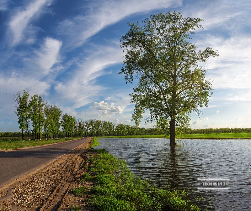 Майские краски фото превью