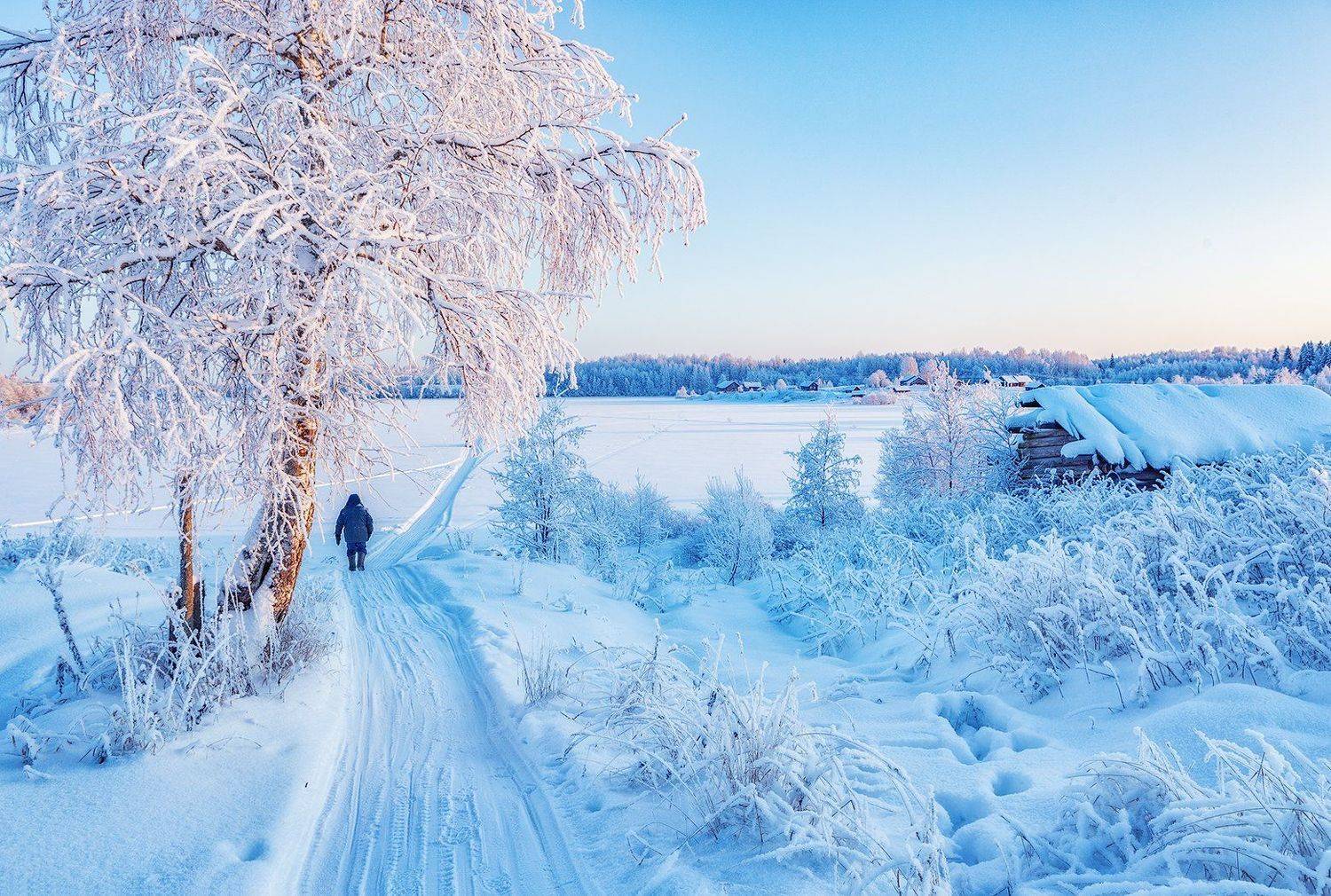 кенозеро, мороз, утро, зима, Владимир Липецких