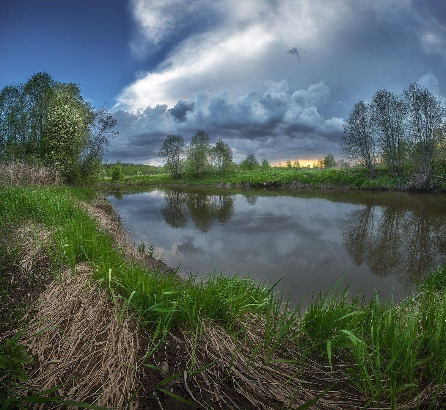 , Николай Андреев