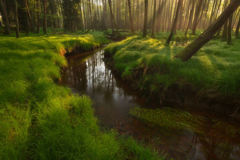 Spring фото превью