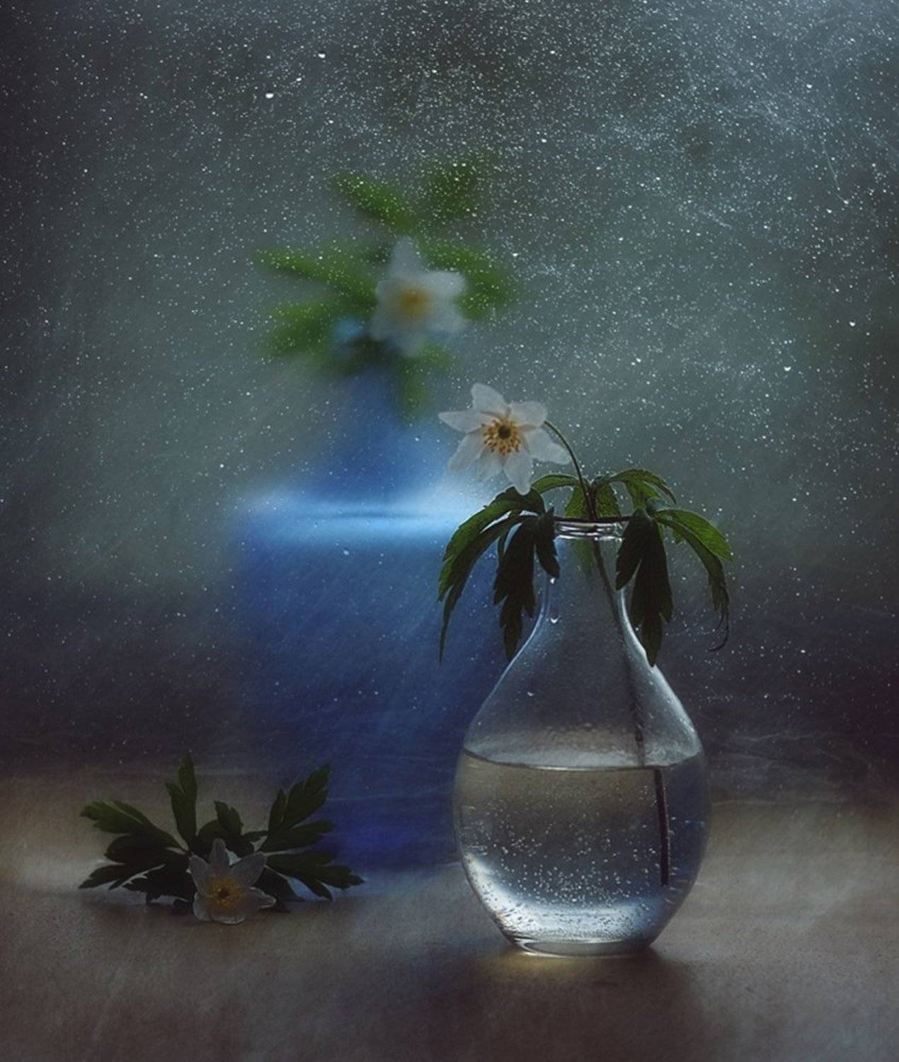 натюрморт,весна,цветы,ветреница,анемона, Наталия К