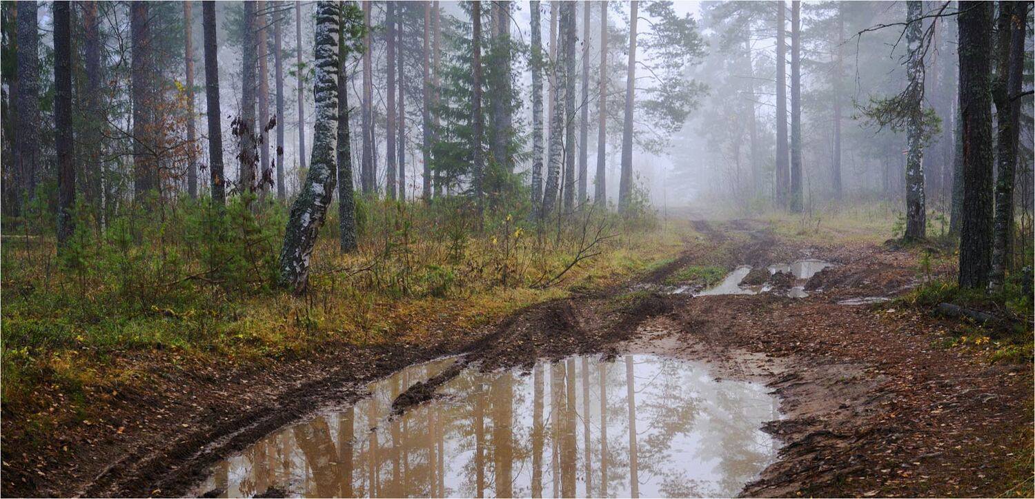 В осень. Автор: Анатолий Гулин , Анатолий Гулин