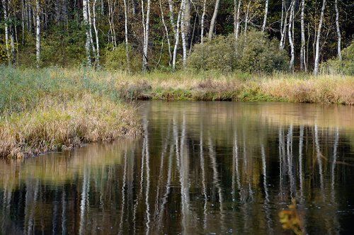 Pro ритмы осенней реки…