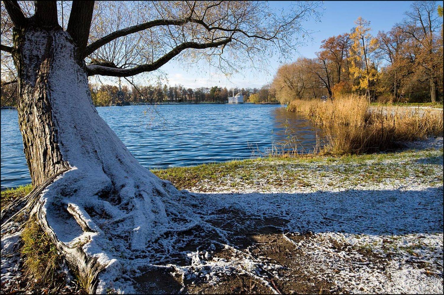 , Cмирнов Юрий