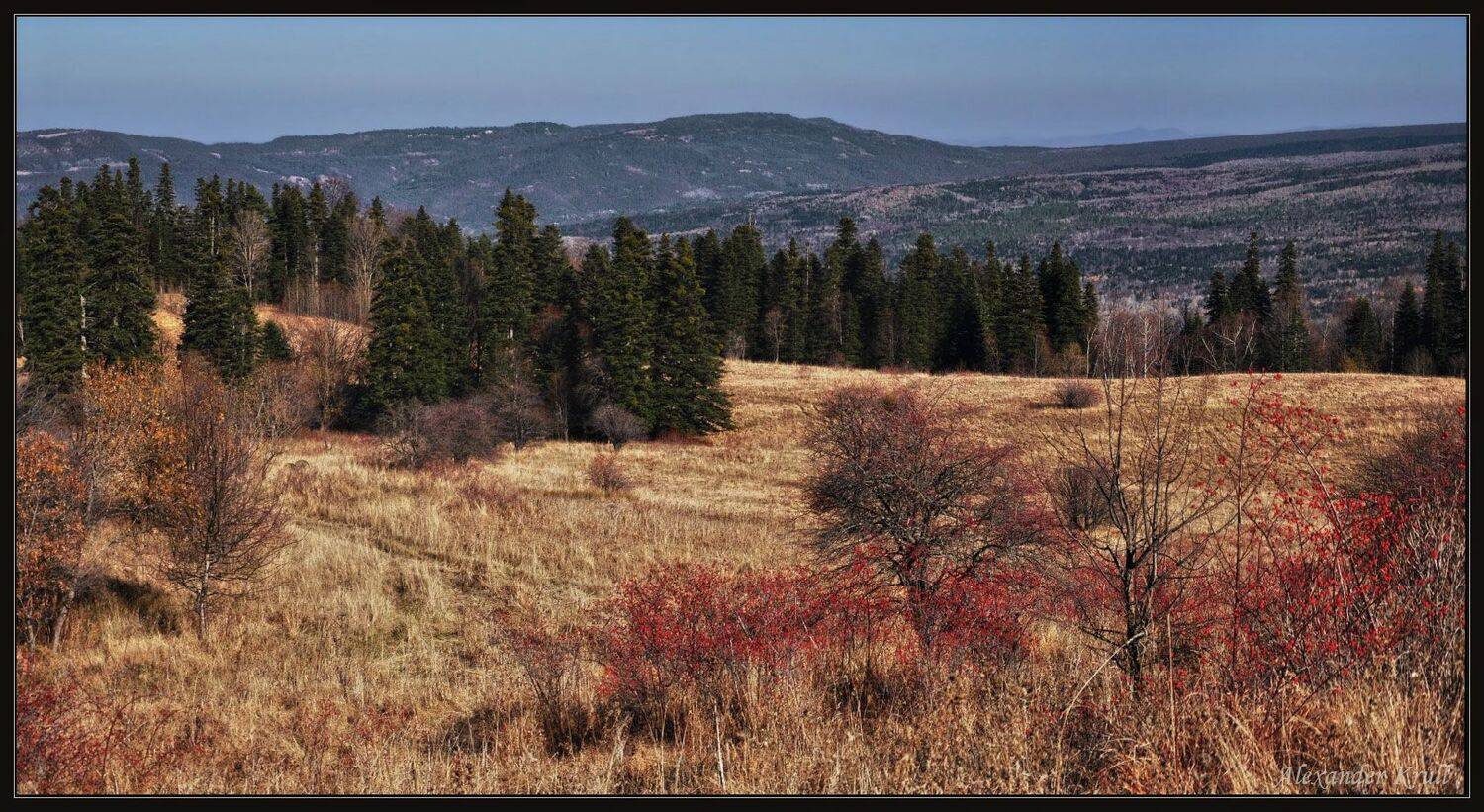 поляна, иванова, Александр Круль